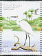 Little Egret Egretta garzetta  2001 Water birds Strip