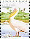 Great White Pelican Pelecanus onocrotalus  2001 Water birds Sheet