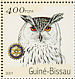 Eurasian Eagle-Owl  Bubo bubo