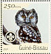 Eastern Screech Owl Megascops asio  2001 Owls, Scouts Sheet