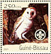 Western Barn Owl Tyto alba