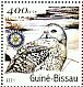 Snowy Owl Bubo scandiacus  2001 Owls, Rotary Sheet