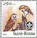 African Grass Owl Tyto capensis  2001 Owls, Scouts Sheet