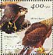 Black Kite Milvus migrans  2001 Raptors Sheet