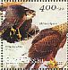 Eurasian Sparrowhawk Accipiter nisus  2001 Raptors Sheet