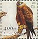 Black Kite Milvus migrans  2001 Raptors Sheet