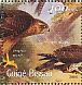 Northern Goshawk Accipiter gentilis  2001 Raptors Sheet