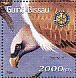 Griffon Vulture Gyps fulvus  2001 Raptors  MS