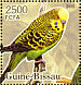 Budgerigar Melopsittacus undulatus  2005 Parrots  MS