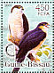 Pied Goshawk Accipiter albogularis  2005 Birds of prey Sheet