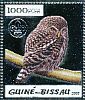 Eurasian Pygmy Owl Glaucidium passerinum