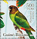 Brehm's Tiger Parrot Psittacella brehmii