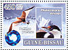 Sabine's Gull Xema sabini  2007 Polar year Sheet