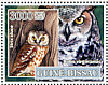 Great Horned Owl Bubo virginianus  2007 Birds  MS