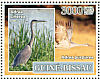Sandhill Crane Antigone canadensis  2007 Birds  MS