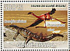 Lesser Flamingo Phoeniconaias minor  2008 Crocodiles and birds Sheet