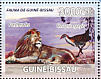 African Crake Crecopsis egregia  2008 Lions and birds  MS