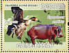 Northern Pintail Anas acuta  2008 Hippos and birds  MS