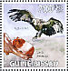 Griffon Vulture Gyps fulvus  2009 Birds of prey and their prey Sheet