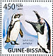 African Penguin Spheniscus demersus