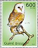 Western Barn Owl Tyto alba