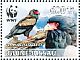 Bateleur Terathopius ecaudatus  2011 WWF Sheet with 2 sets