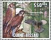 Common Kestrel Falco tinnunculus  2011 Raptors Sheet