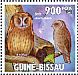 Tawny Owl Strix aluco