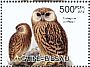 Laughing Owl Ninox albifacies â€   2012 Owls Sheet