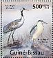 Common Crane Grus grus