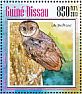 Greater Sooty Owl Tyto tenebricosa  2013 Owls Sheet