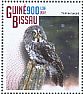 Great Grey Owl Strix nebulosa  2014 Owls Sheet