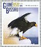 Steller's Sea Eagle Haliaeetus pelagicus  2015 Birds of prey Sheet