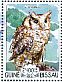 Fraser's Eagle-Owl Bubo poensis  2015 Owls  MS