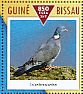 Common Wood Pigeon Columba palumbus  2015 Pigeons and doves Sheet