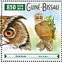 Tawny Owl Strix aluco  2015 Owls Sheet