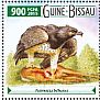 Martial Eagle Polemaetus bellicosus  2015 Eagles Sheet