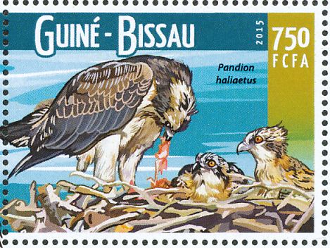 Link to Norwegian Osprey Live Stream