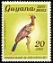 Hoatzin Opisthocomus hoazin  1968 Definitives 