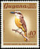 Great Kiskadee Pitangus sulphuratus