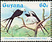 Swallow-tailed Kite Elanoides forficatus  1984 Christmas Strip