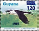 Swallow-tailed Kite Elanoides forficatus  1987 Christmas Sheet