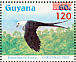 Swallow-tailed Kite Elanoides forficatus  1986 Christmas Sheet