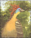 Hoatzin  Opisthocomus hoazin