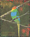 Ochre-marked Parakeet  Pyrrhura cruentata