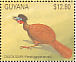 Crested Guan Penelope purpurascens