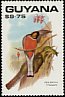 Elegant Trogon Trogon elegans  1990 Birds 