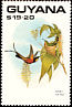 Fiery Topaz Topaza pyra  1990 Birds 