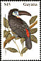 Channel-billed Toucan Ramphastos vitellinus  1990 Birds of Guyana 
