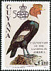 Andean Condor Vultur gryphus